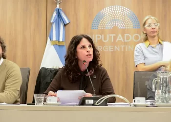Referentes de bibliotecas, teatros y canales culturales expusieron en Diputados